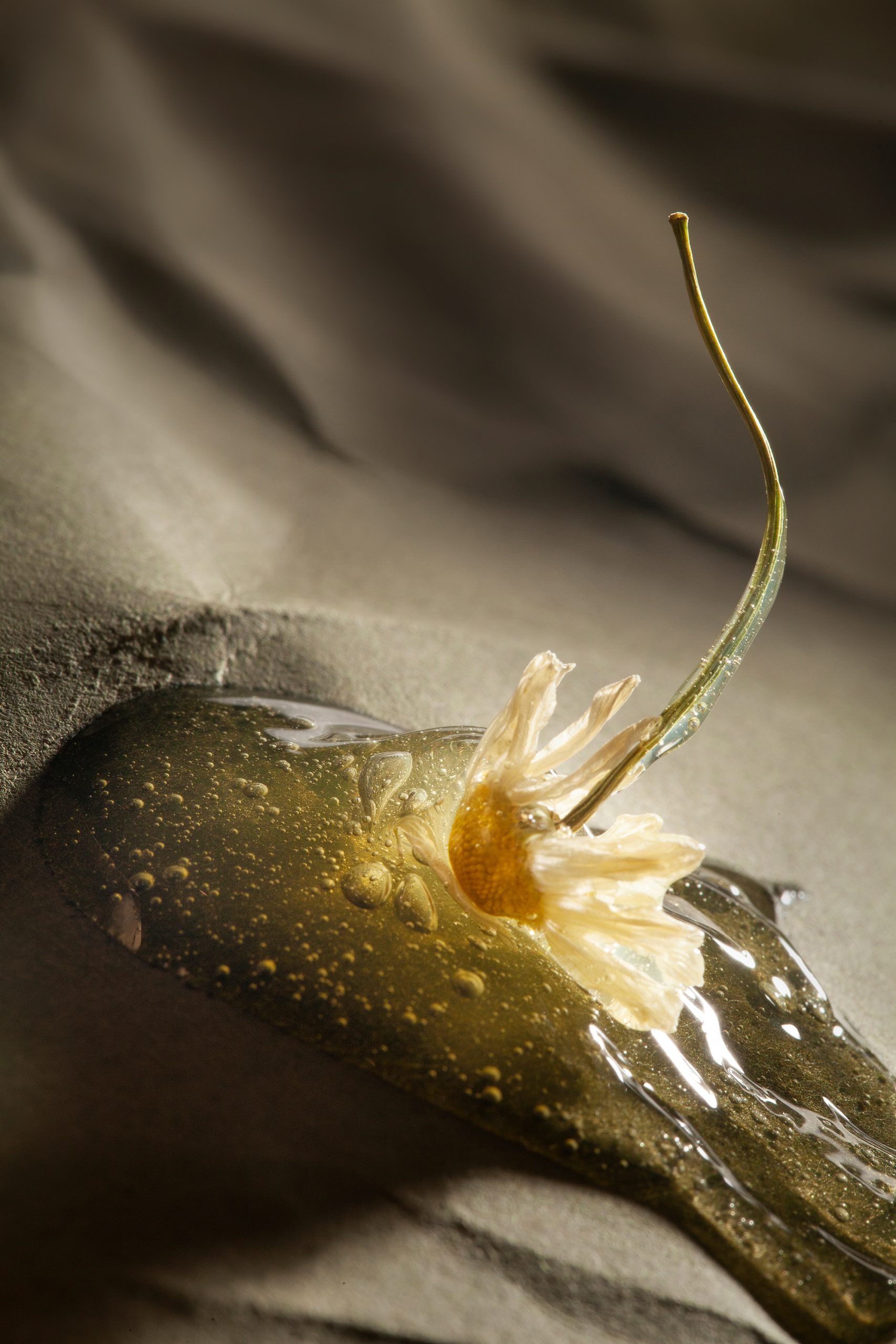 Tea Tree and Chamomile Facial Wash with BHA - Image 3